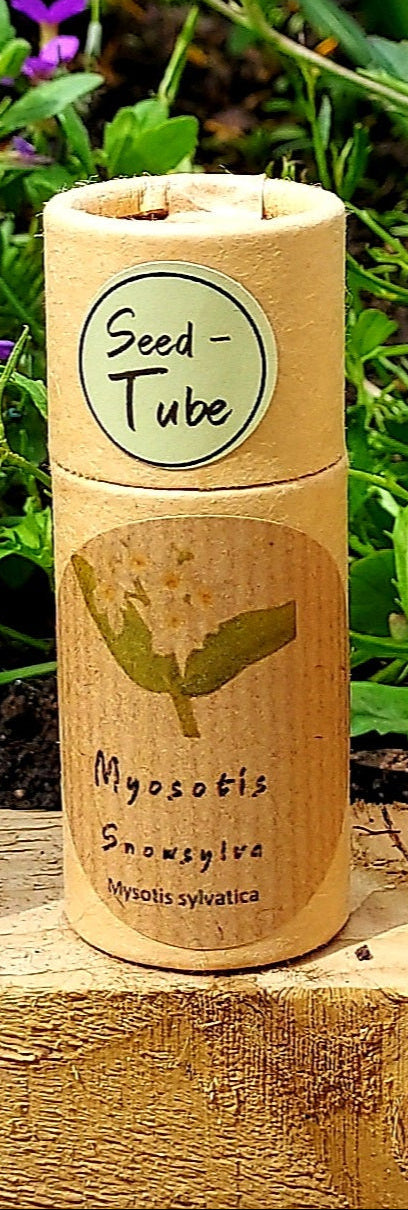 Myosotis - Snowsylva (Forget-me-not) seeds