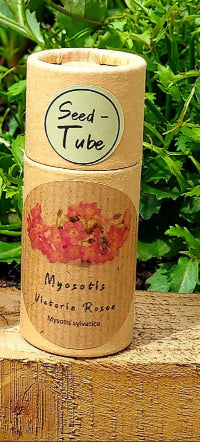 Myosotis - Victoria Rosea (Forget-me-not) seeds