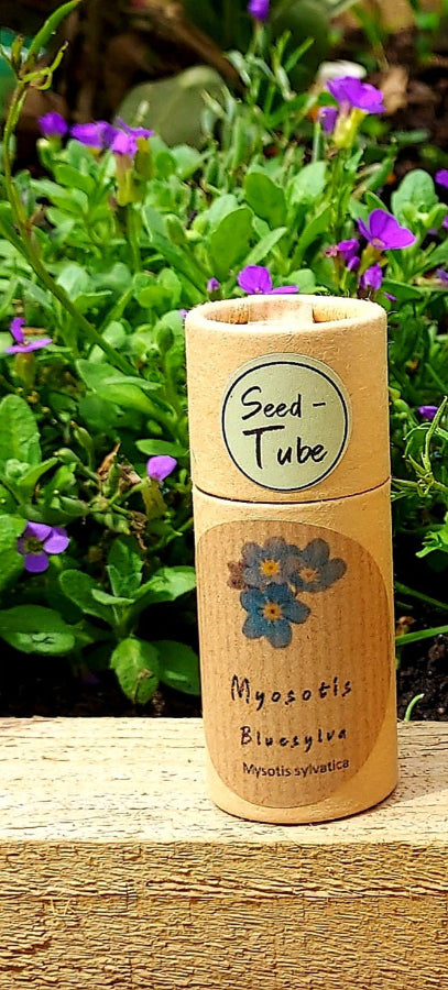 Myosotis - Bluesylva (Forget-me-not) seeds