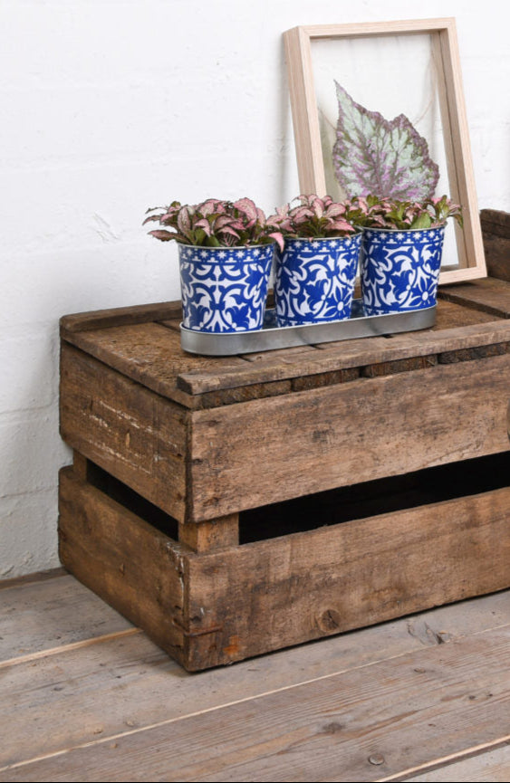 Rustic Portuguese patterened zinc pots on a tray
