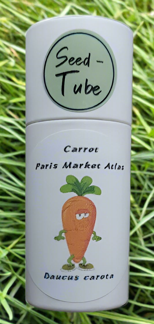 Carrot - Paris Market Atlas in a Seedlings Tube