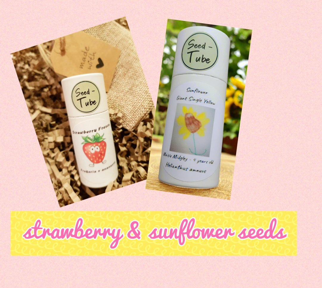 Strawberry and Sunflower Delight