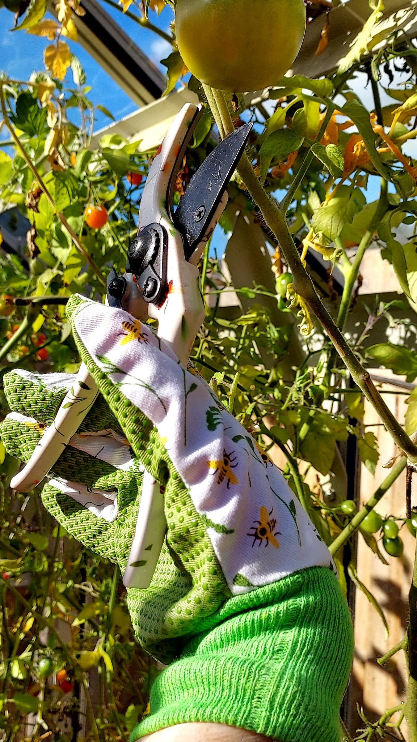 Busy Bee Gardener's Gift Set