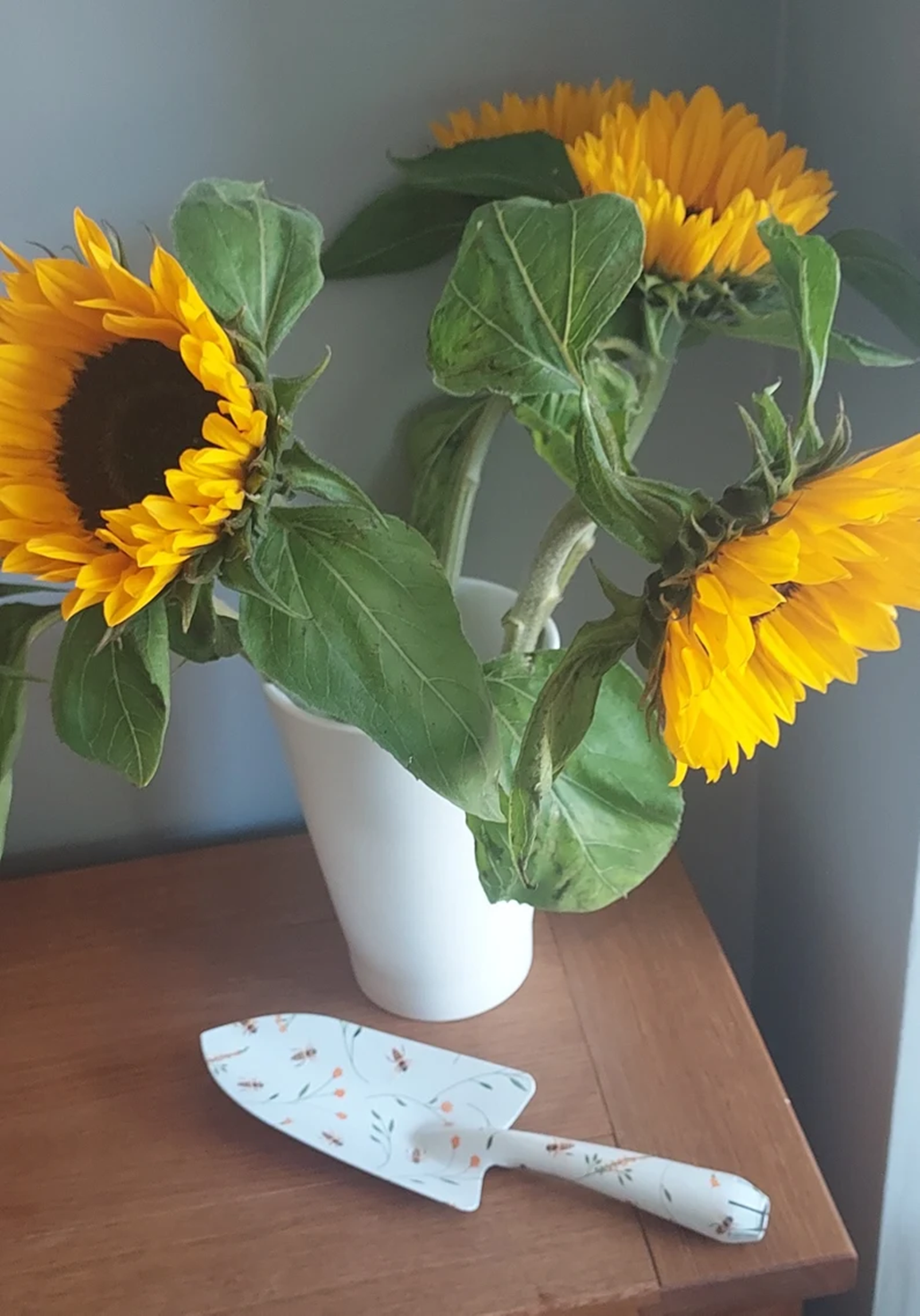 Small Gardens gift set