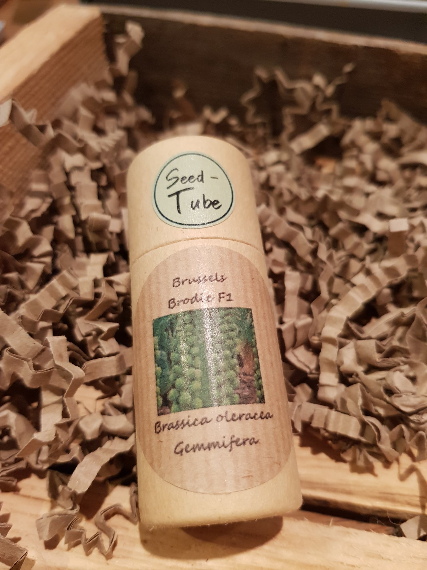 Vegetable Seeds in a Seedtube