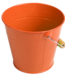 Gift Set for children - Pea & Carrot Seedlings Gift Set