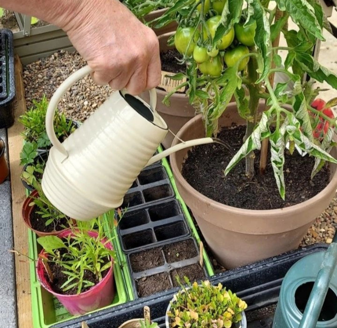 Watering Can - Assorted colours (cream, green or grey)