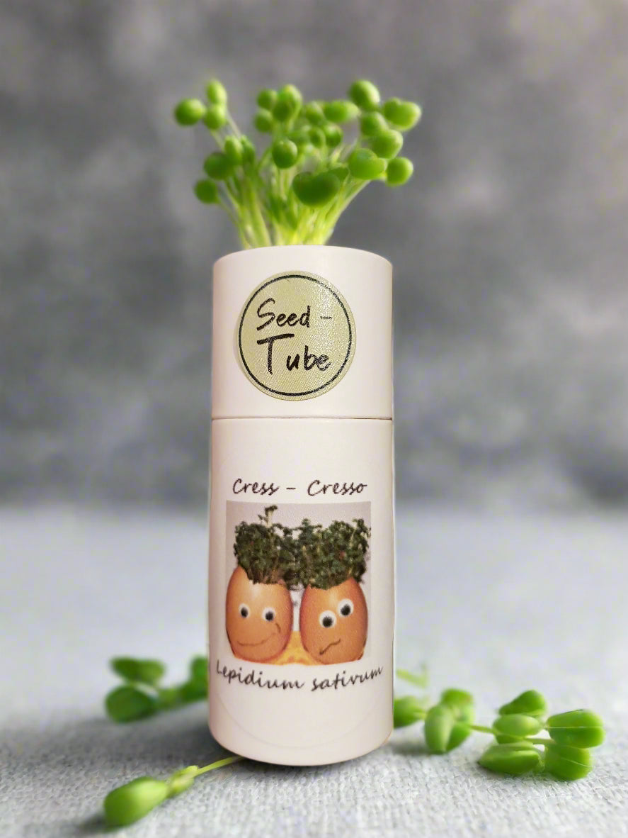 Cress Seeds in a Seedlings Tube