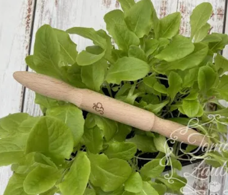 Mini Wooden Dibber - for planting new seedlings