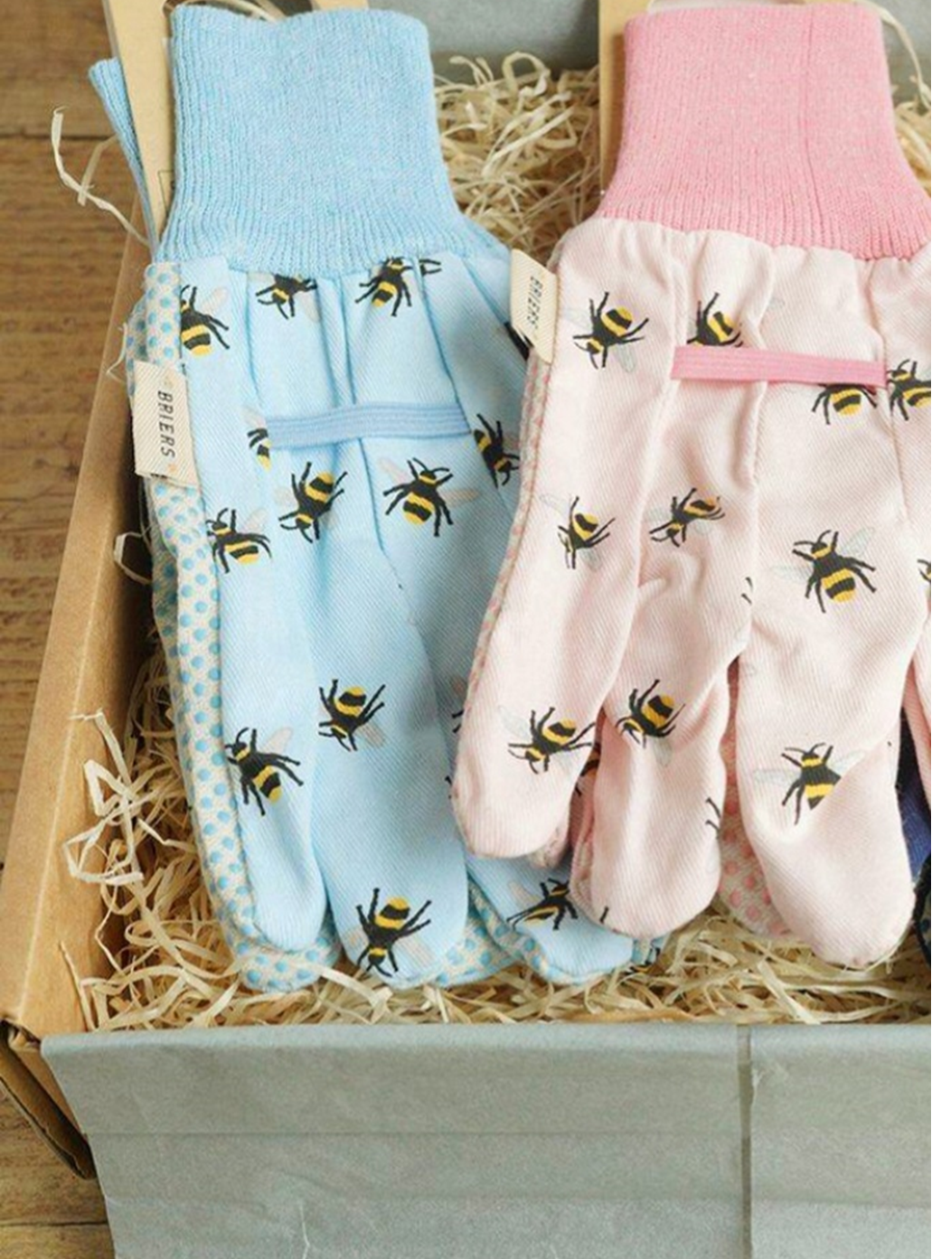 Busy Bee Gardener's Gift Set