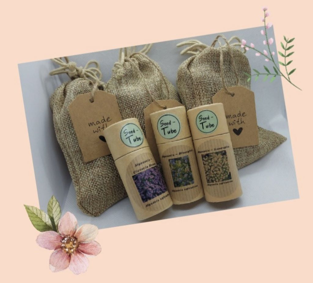 Forget Me Not Seeds in Tubes