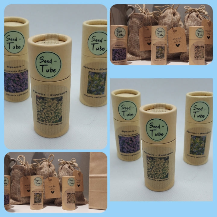 Forget Me Not Seeds in Tubes