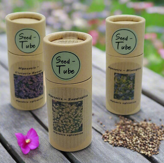 Forget Me Not Seeds in Tubes