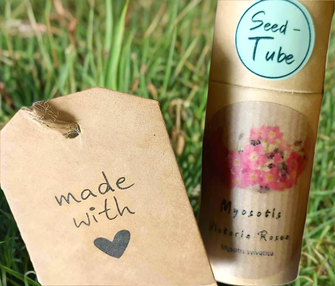 Forget Me Not Seeds in Tubes