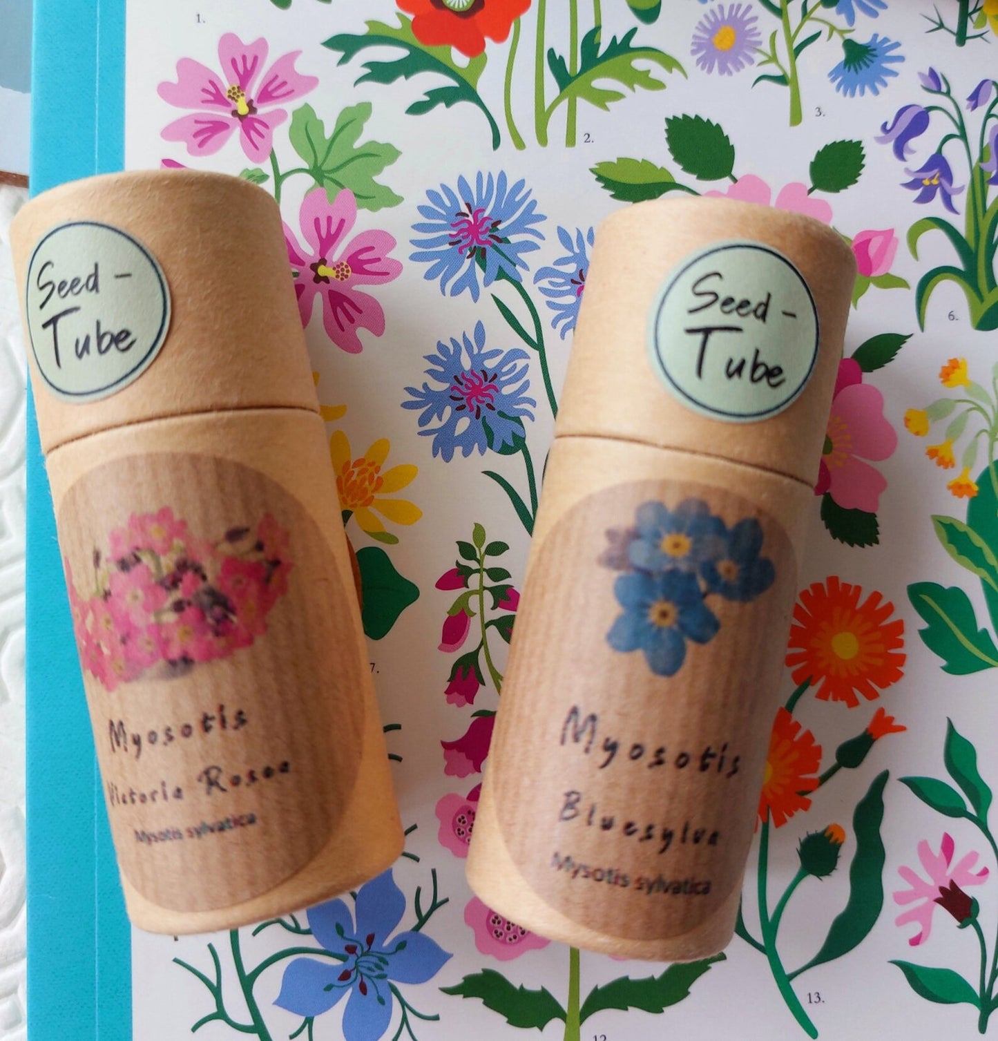 Forget Me Not Seeds in Tubes