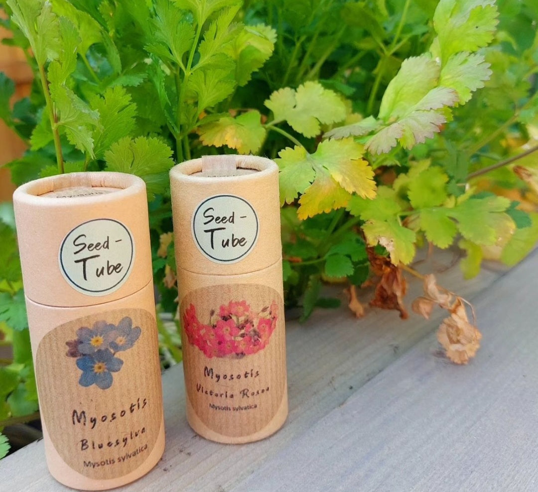 Let Love Grow Gift with Forget Me Not Seeds