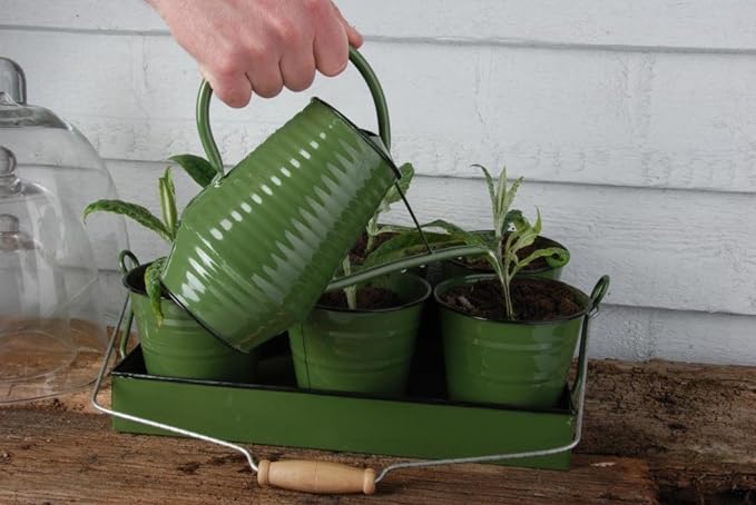 Watering Can - Assorted colours (cream, green or grey)