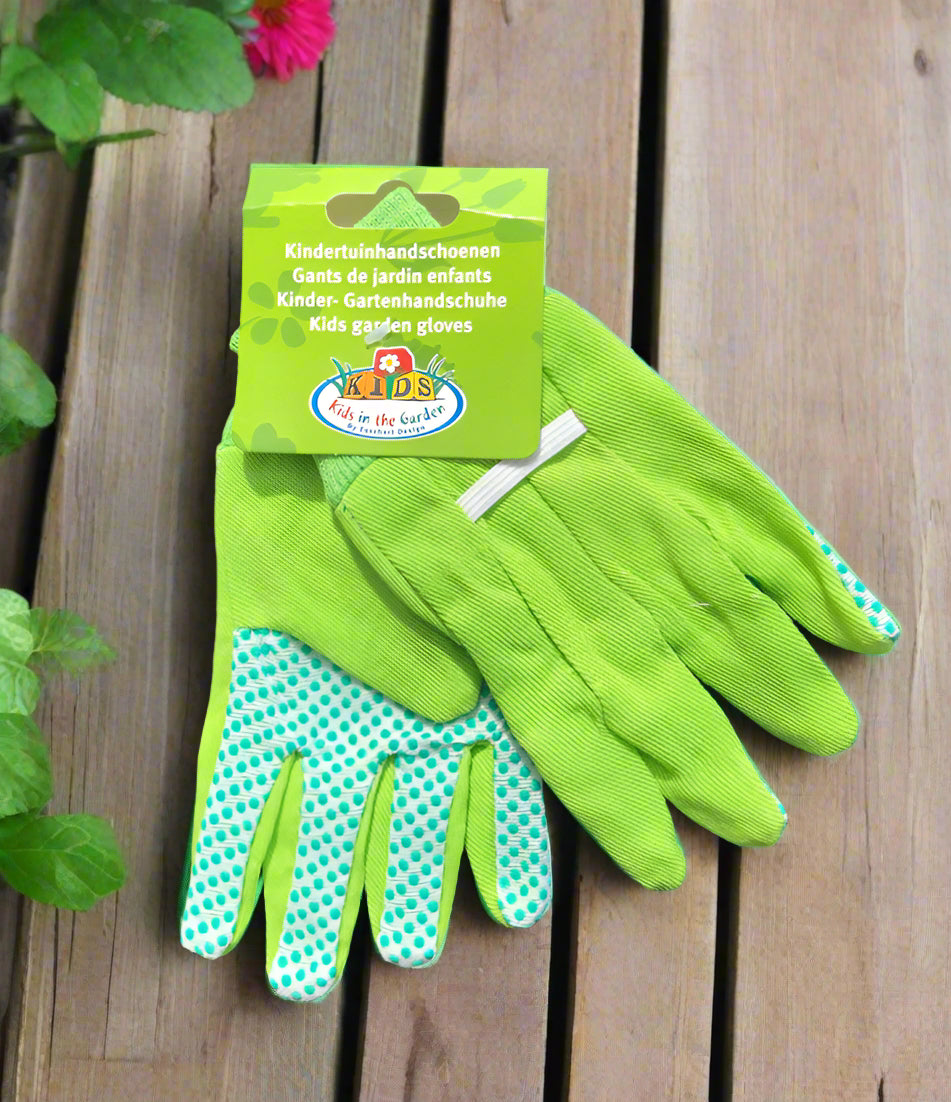 Childrens Seedlings Gift Set