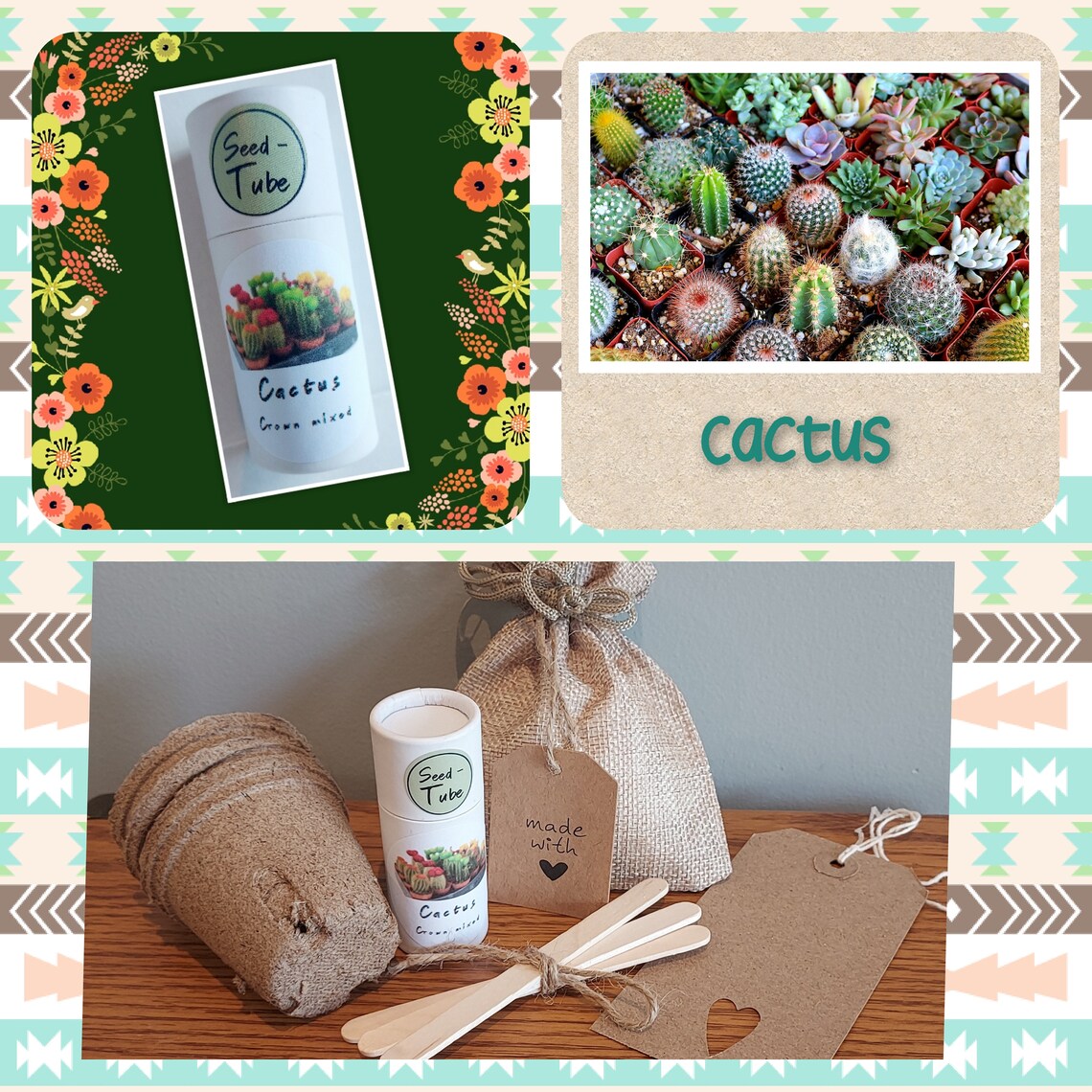 Grow Your Own Cactus Seeds  (Crown Mixed)