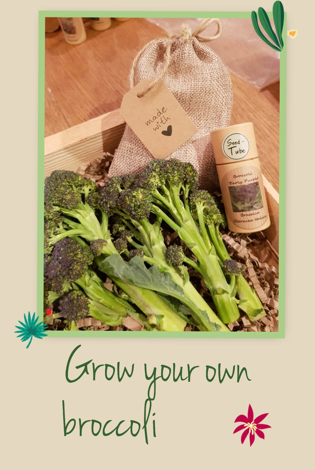 Vegetable Seeds in a Seedtube