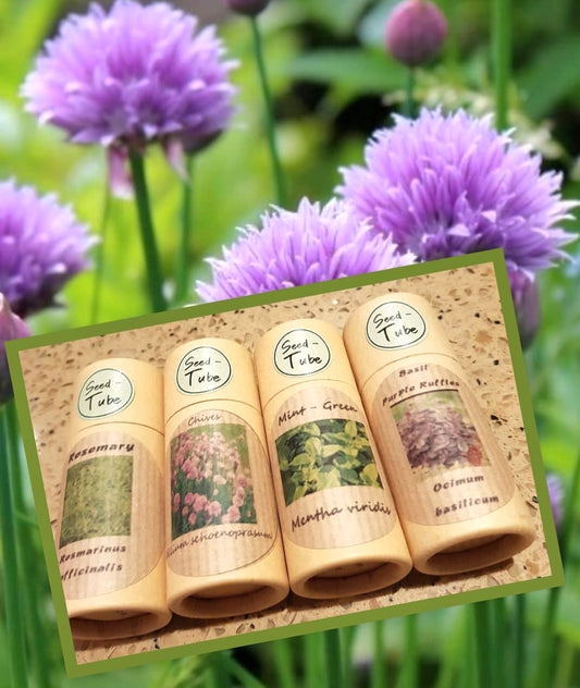 Herb Seed-Tubes (Rosemary, Mint, Basil & Chives)