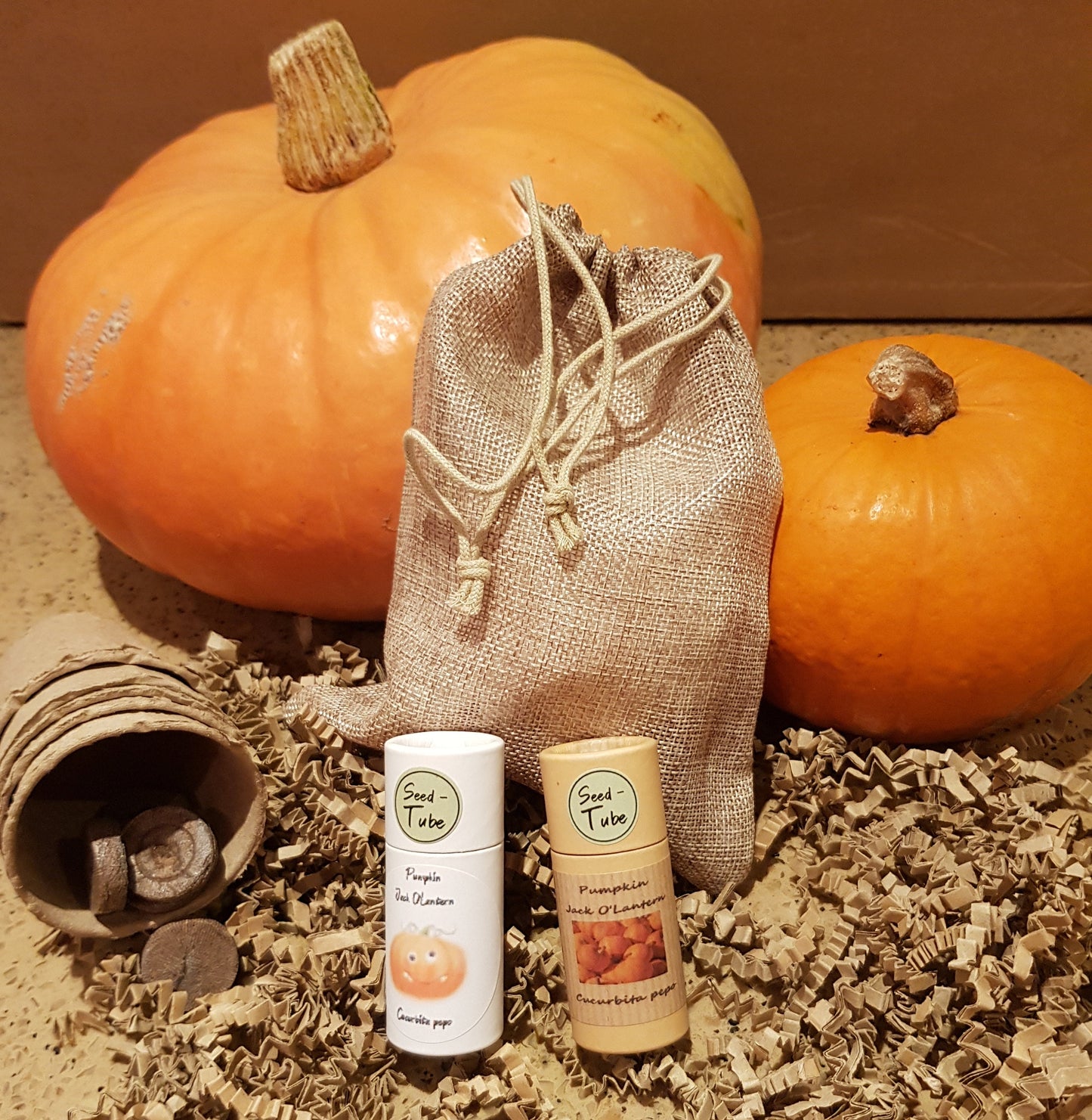 Grow your own pumpkin gift set