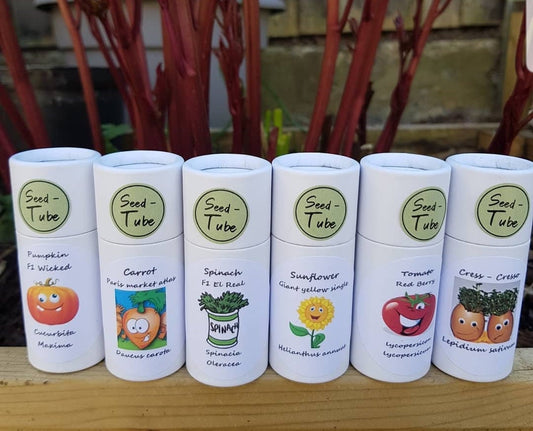 Childrens Seedlings Gift Set