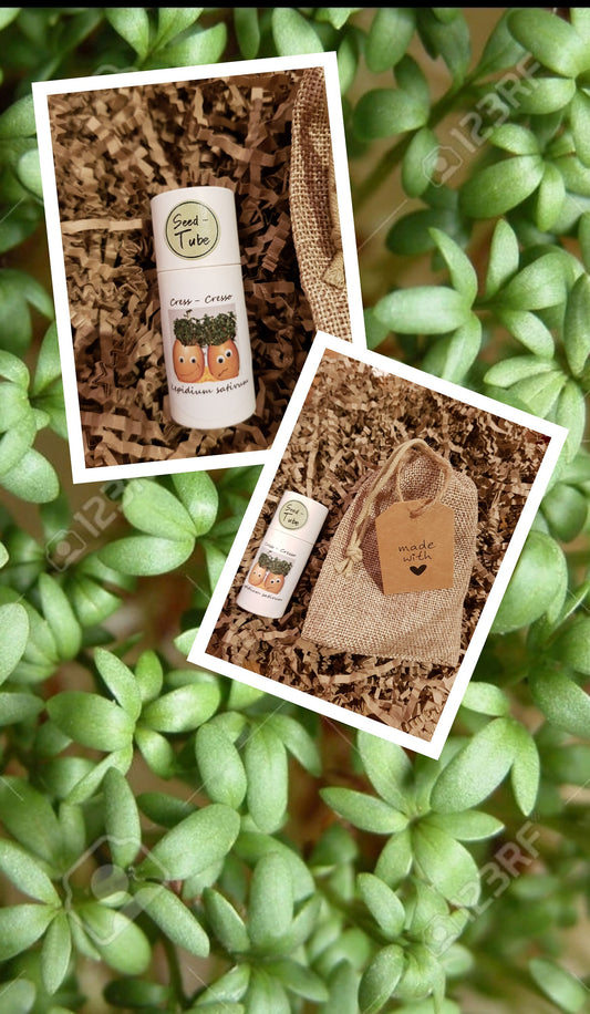 Seedlings Tube - Cress