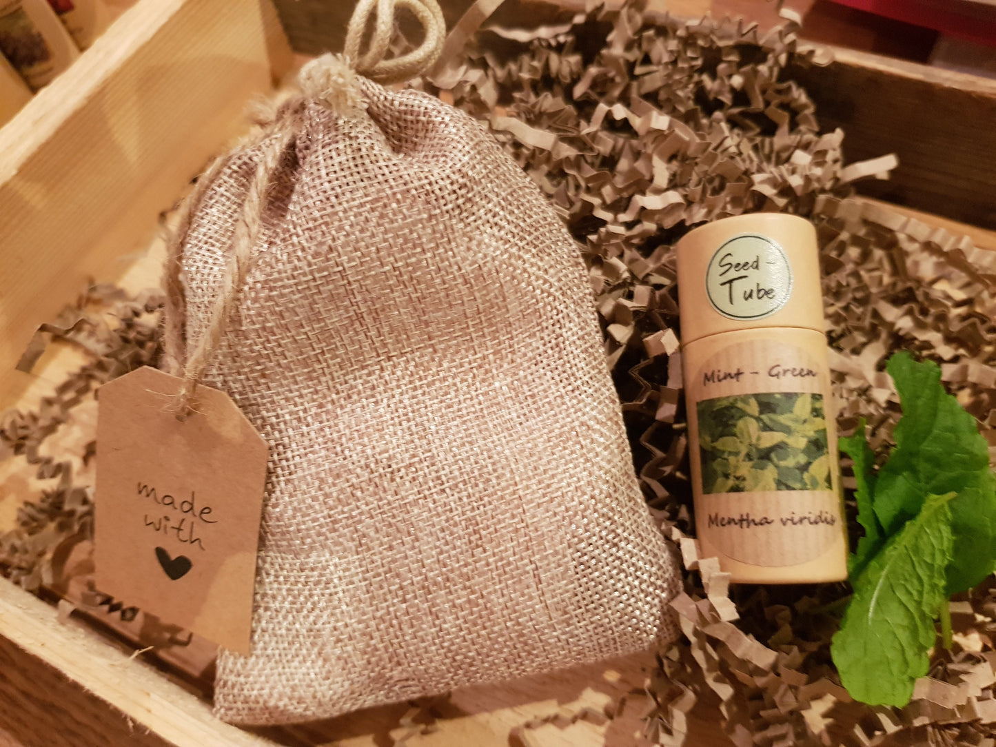 Mint Green Seeds in a Seedtube