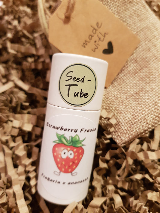 Seedlings Tube - Strawberry