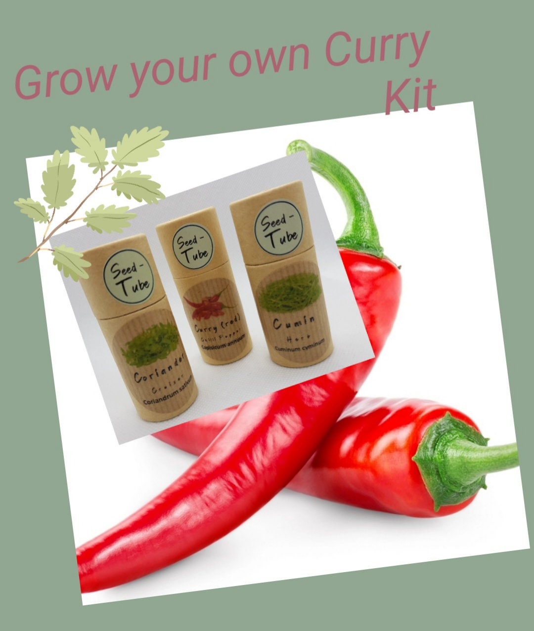 Grow Your Own Curry Herb & Spice Kit