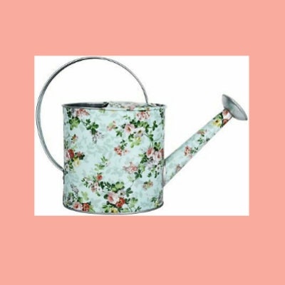 Rose Print Indoor Watering Can