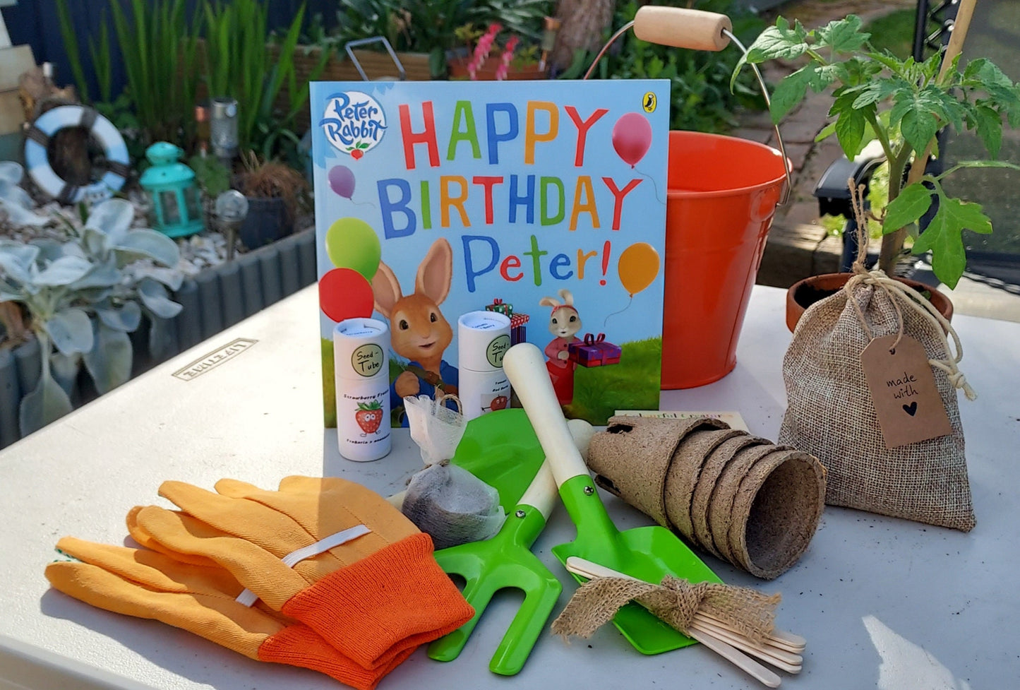 Gift Set for children - Strawberry & Tomato Seedlings Gift Set