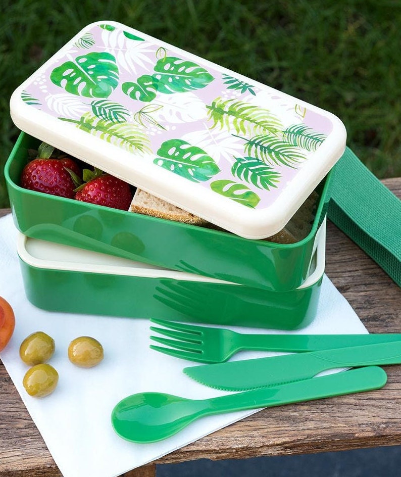 Bento Box - BPA Plastic in various designs