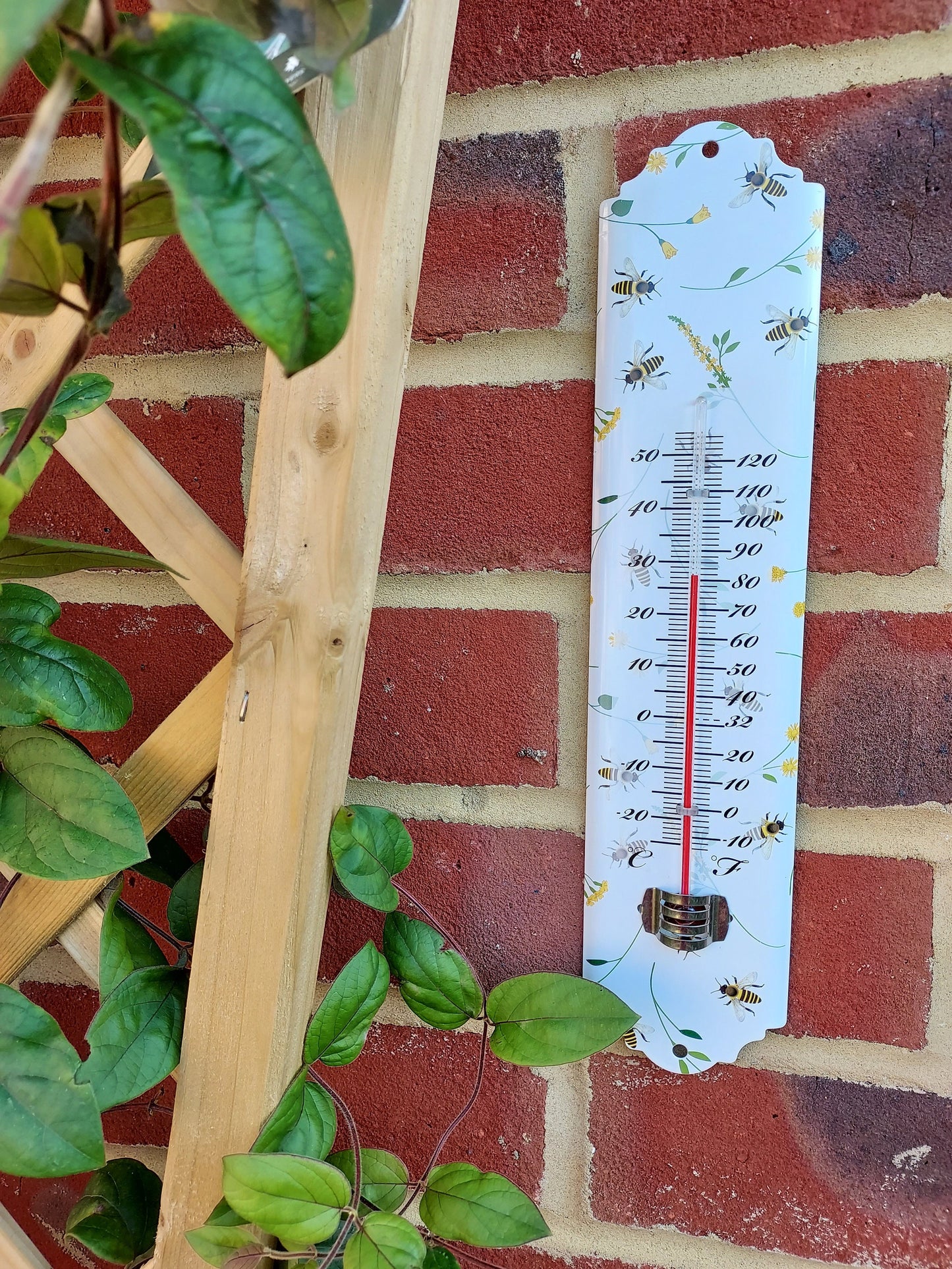 Bee Print Thermometer