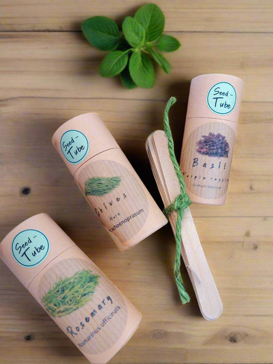 Herb Garden Gift Set