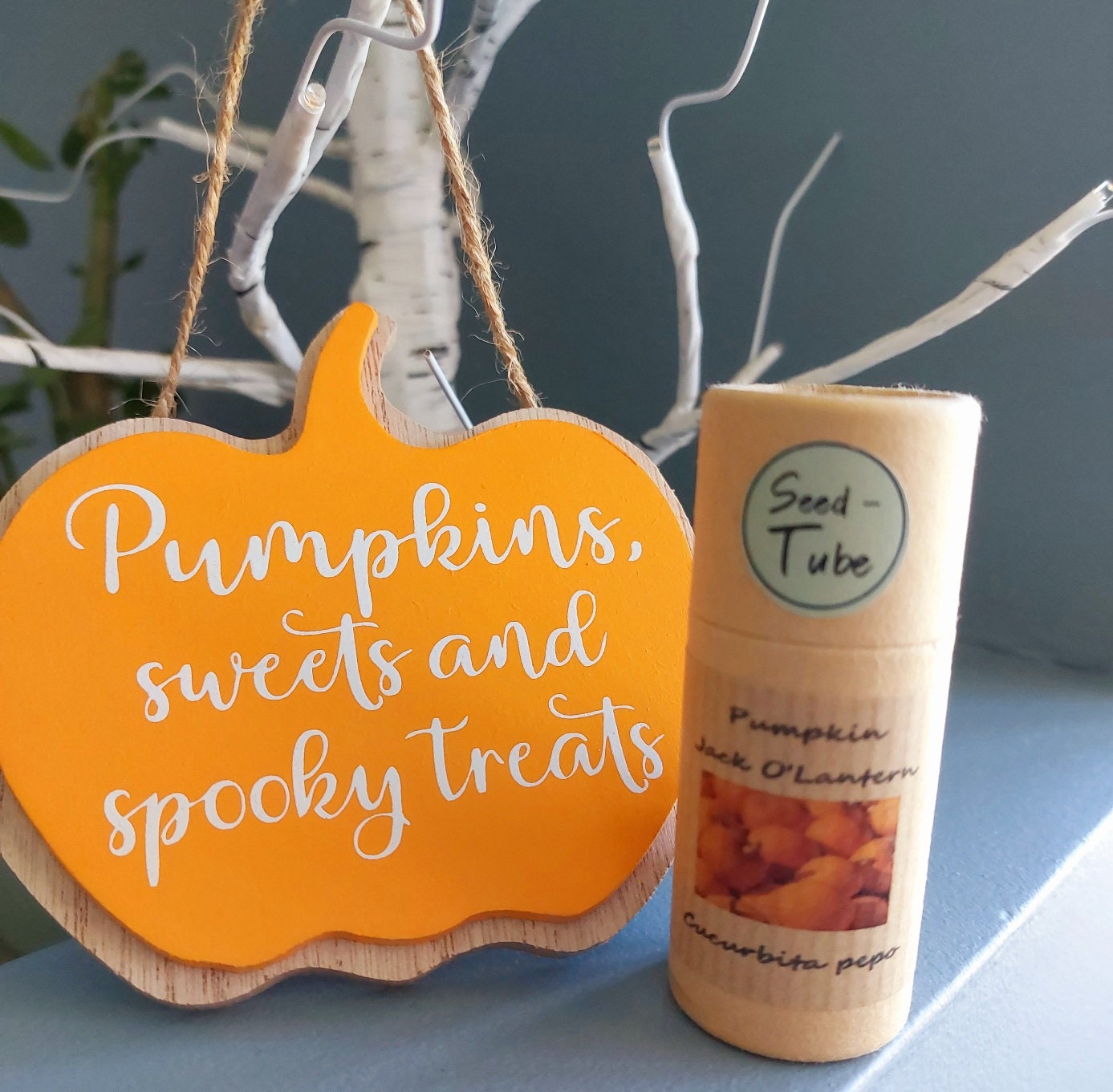 Pumpkin Treat