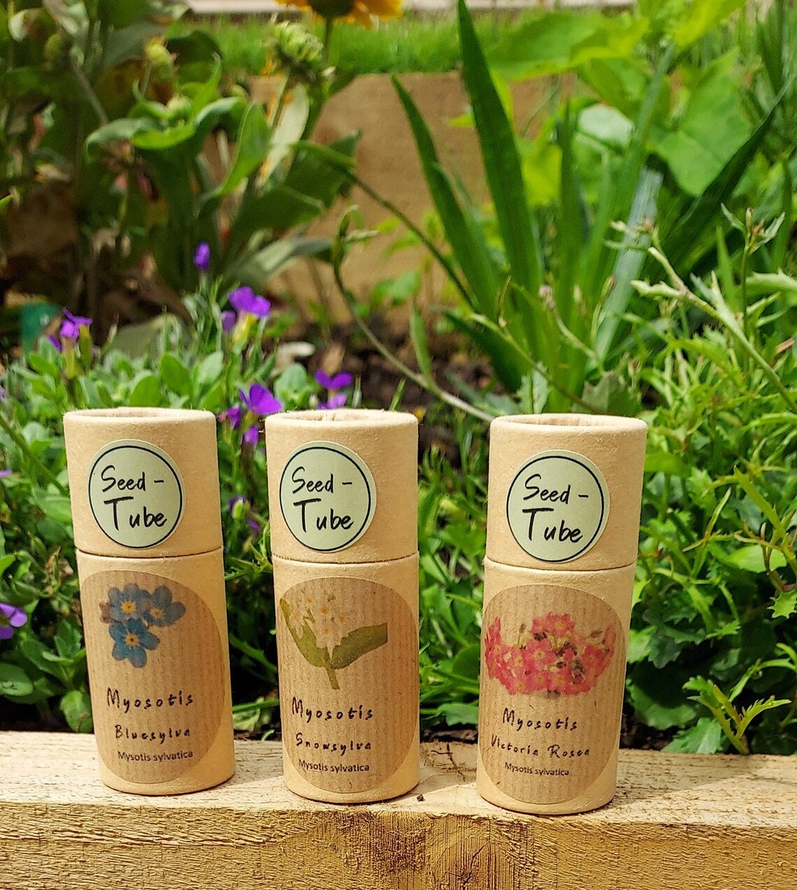 Forget Me Not Seeds in Tubes