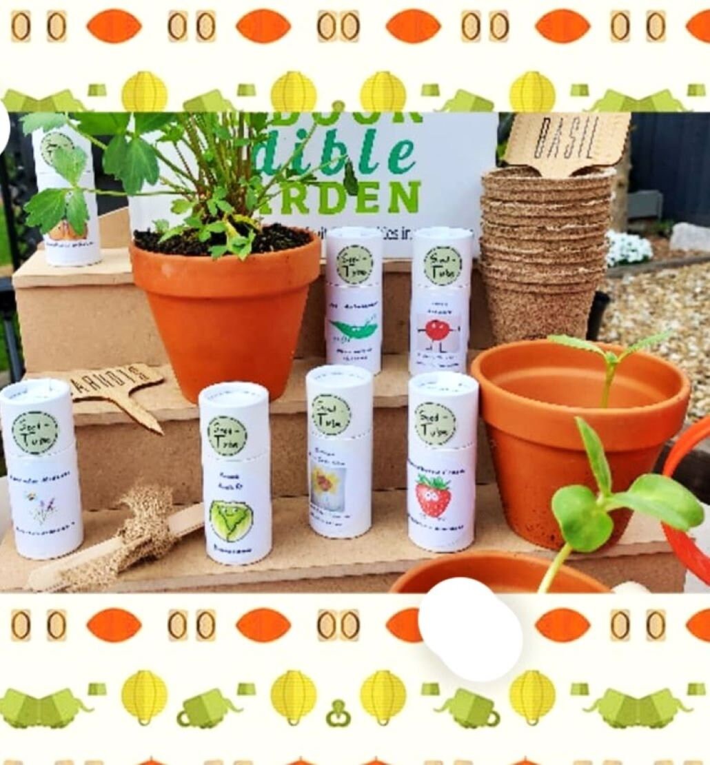 Seedlings Tube - Spinach F1 El Real