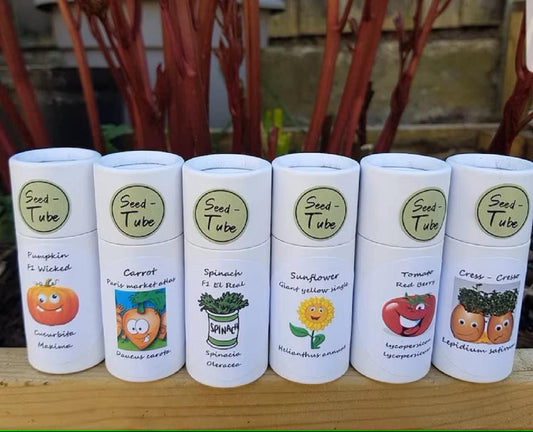 Seedlings Tube - Sunflower Giant Yellow Single