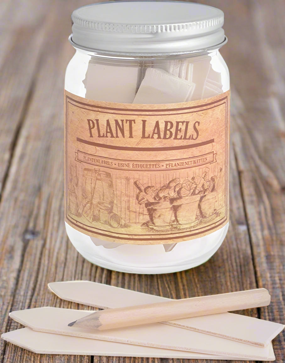 Wooden Plant Labels in a Jar