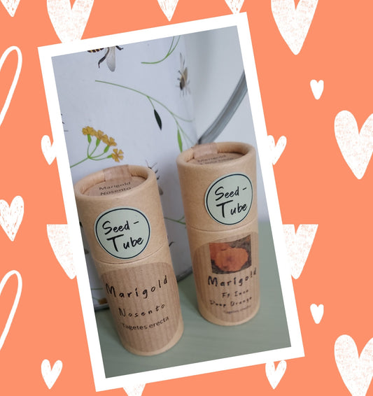 Marigold Flower Seeds in a Seedtube