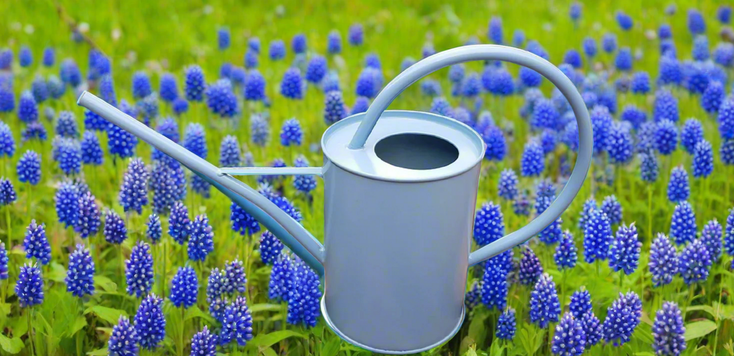 Blue French Indoor Watering Can