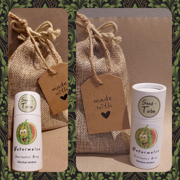 Melon - Charleston Seeds in a Seedlings Tube