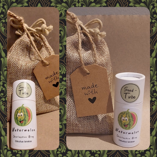 Melon - Charleston Seeds in a Seedlings Tube