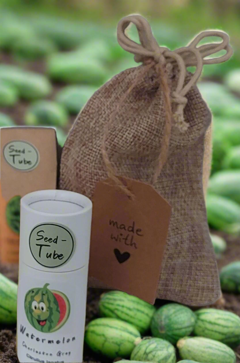 Melon - Charleston Seeds in a Seedlings Tube