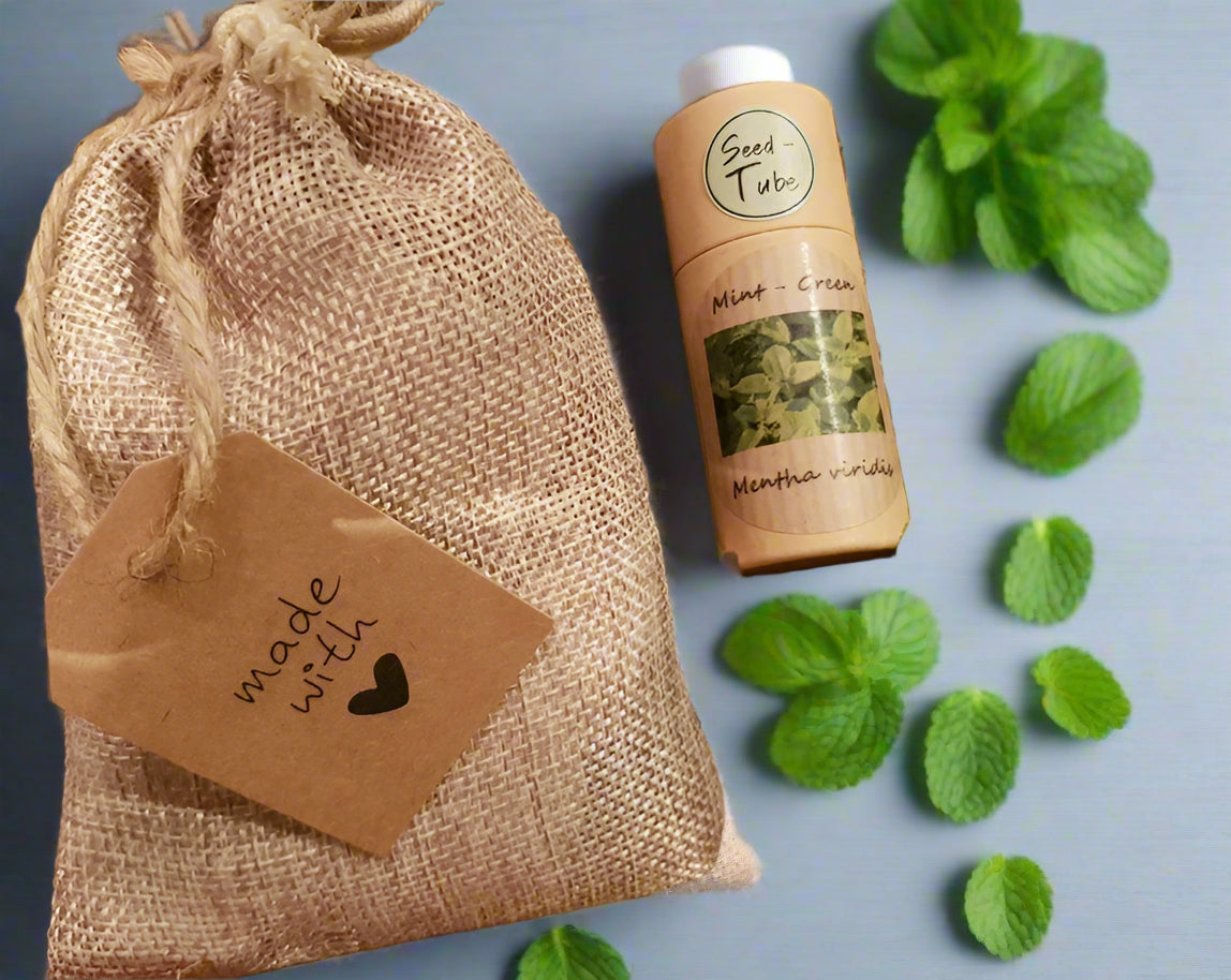 Mint Green Seeds in a Seedtube