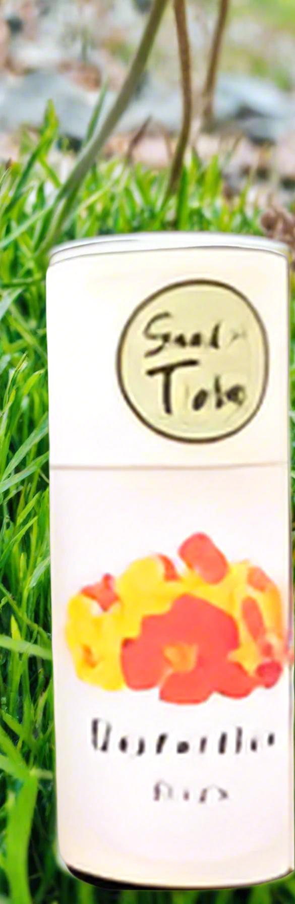 Nasturtium - Tall Single Flowered Mixed Seeds in a Seedlings Tube