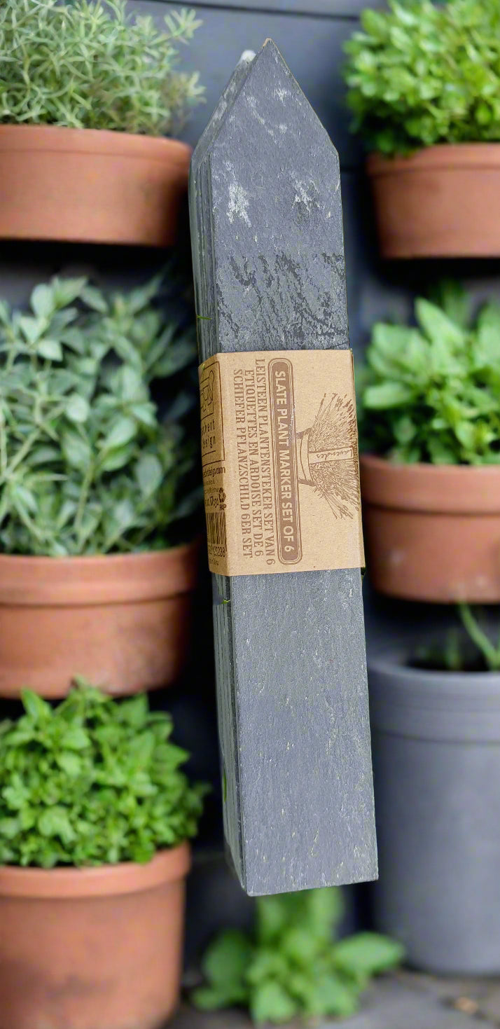 Vegetable Seeds and Slate Markers Gift Set