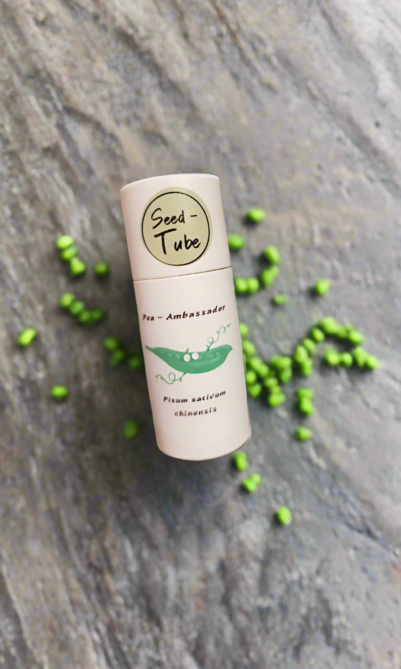 Pea Seeds in a Seedlings Tube